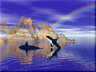 orka2-1-1